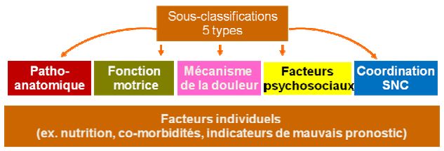 Contrôle moteur : SMARTERehab cours niveau 1 (4 jours) Contrôle moteur : SMARTERehab cours niveau 1 (4 jours)