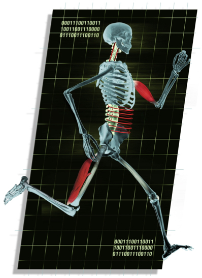 SMARTERehab. Niveau 1. Analyse du mouvement et raisonnement clinique pour un control moteur : le rachis lombaire, thoracique et cervical SMARTERehab. Niveau 1. Analyse du mouvement et raisonnement clinique pour un control moteur : le rachis lombaire, thoracique et cervical