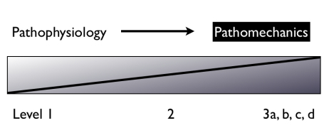 Figure 11. Traitement de la pathophysiologie aux premiers niveaux (irritatifs). Traitement du dysfonctionnement mécanique vers les niveaux plus avancés (2 et 3) lorsque le tissu neural peut tolérer les sollicitations mécaniques. (Shacklock 2005b).DR Figure 11. Traitement de la pathophysiologie aux premiers niveaux (irritatifs). Traitement du dysfonctionnement mécanique vers les niveaux plus avancés (2 et 3) lorsque le tissu neural peut tolérer les sollicitations mécaniques. (Shacklock 2005b).DR