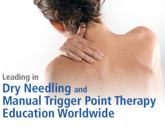 Dry Needling : Cours professionnel Dry Needling : Cours professionnel